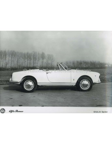 1962 ALFA ROMEO GIULIA SPIDER PRESSEBILD