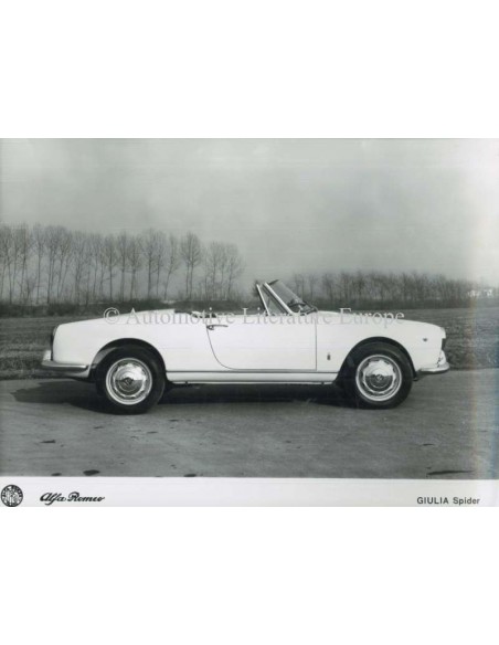1962 ALFA ROMEO GIULIA SPIDER PRESSEBILD
