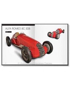 AUTOS CLÁSICOS EN ARGENTINA DOOR CRISTIÁN BERTSCHI 2