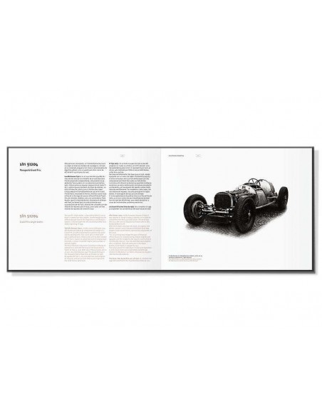 ALFA ROMEO ARGENTINA - SPORTS CARS BOOK - WHITEFLY