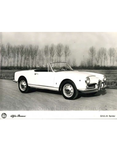 1962 ALFA ROMEO GIULIA SPIDER PRESSEBILD