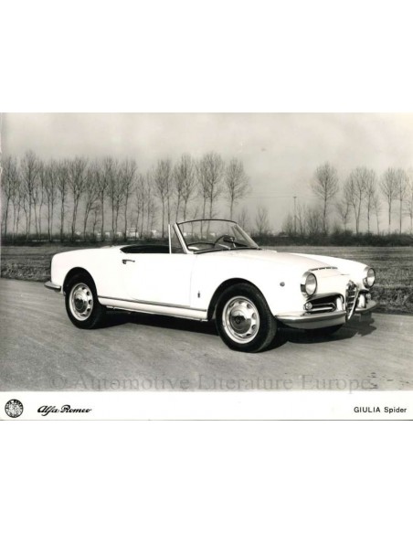 1962 ALFA ROMEO GIULIA SPIDER PERSFOTO