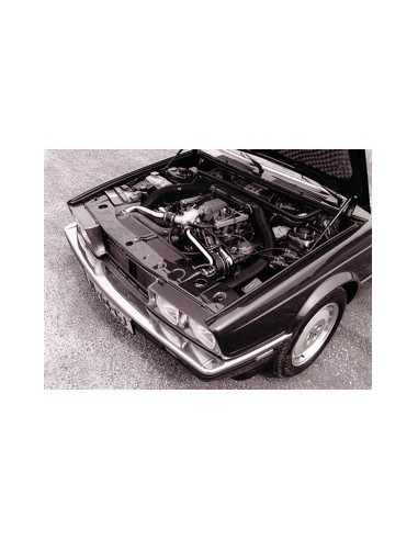 1988 MASERATI 430 PERSFOTO