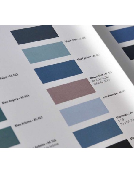 CTROËN - LES FILLES DE FORREST - VINCENT BEYAERT - BOEK