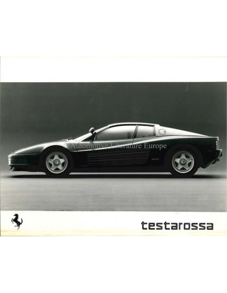 1984 FERRARI TESTAROSSA PRESSKIT ENGLISH (US) 324/84