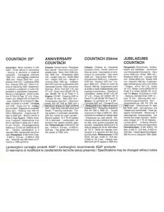 1989 LAMBORGHINI COUNTACH 25TH ANNIVERSARY DATENBLATT 2