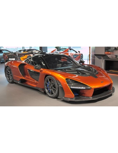 2018 MCLAREN SENNA POUCH
