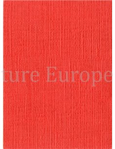 1968 FERRARI SALE & SERVICE ORGANIZATION MANUAL 2