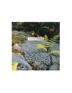 1996 JEEP PROGRAMMA BROCHURE ENGELS CANADA