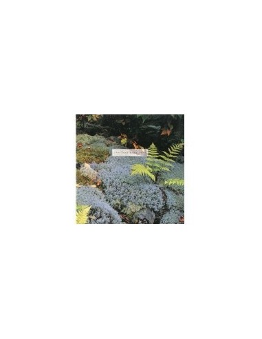 1996 JEEP PROGRAMMA BROCHURE ENGELS CANADA