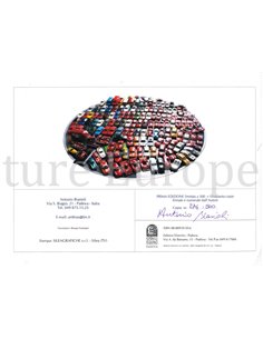 ALFA ROMEO NEI RALLY (LIMITED 274/500 AND SIGNED) 2