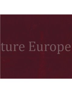 ALFA ROMEO - 100X100 CENTOALFAPERCENT'ANNI (ALFA BLEU TEAM)  (LIMITED EDITION No. 293) 2