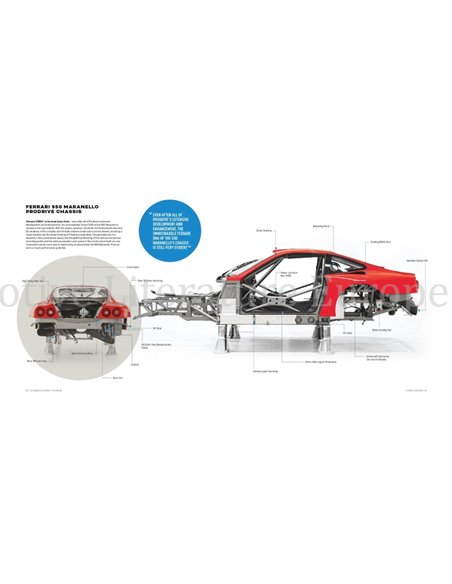 FERRARI 550 MARANELLO PRODRIVE - THE LAST V12 TO WIN AT LE MANS (2 BUCHER, LIMITIERT AUF 550 STUCK)