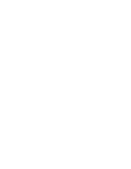 2011 VOLKSWAGEN BEETLE PROSPEKT DEUTSCH