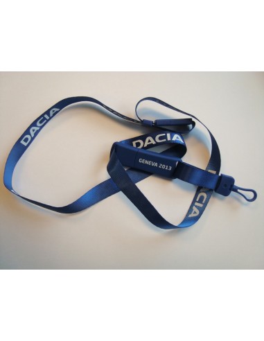 2013 DACIA GENEVE PERSMAP USB 4GB