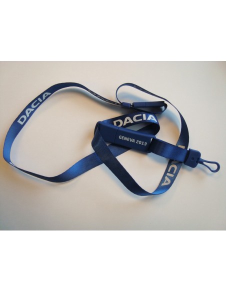 2013 DACIA GENEVE PERSMAP USB 4GB