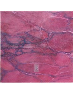 1993 ROLLS ROYCE PROGRAMM PROSPEKT ENGLISCH