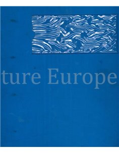 1978 BMW E21: 316 | 318 | 320 WERKSTATTHANDBUCH NIEDERLÄNDISCH 2