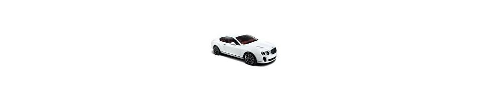 BENTLEY CONTINENTAL SUPERSPORTS Prospekte