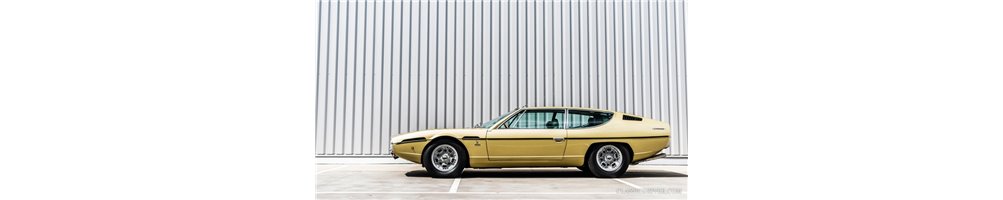 LAMBORGHINI ESPADA Brochures