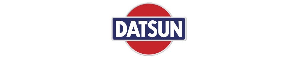 DATSUN Prospekte