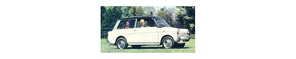 AUTOBIANCHI PANORAMICA Prospekte