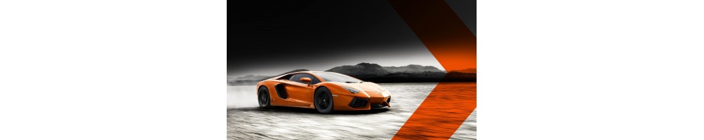 LAMBORGHINI AVENTADOR
