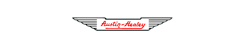 AUSTIN-HEALEY Boek