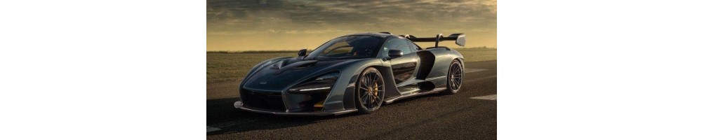 MCLAREN SENNA Instructieboekje