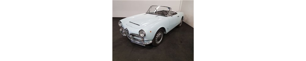 ALFA ROMEO GIULIA SPIDER (owner manuals, repair manuals, spare parts manuals)