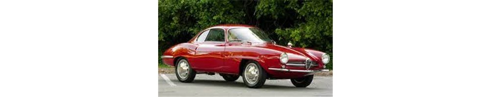 ALFA ROMEO GIULIA SS (instructieboekjes, reparatiehandboeken, onderdeelboeken)