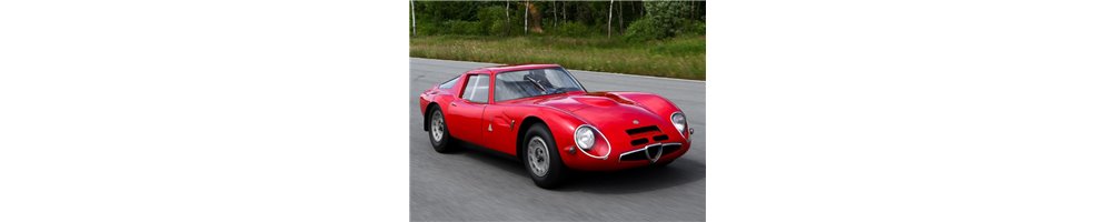 ALFA ROMEO GIULIA TZ (Betriebsanleitungen, Reparaturanleitungen, Ersatzteilkatalogen)