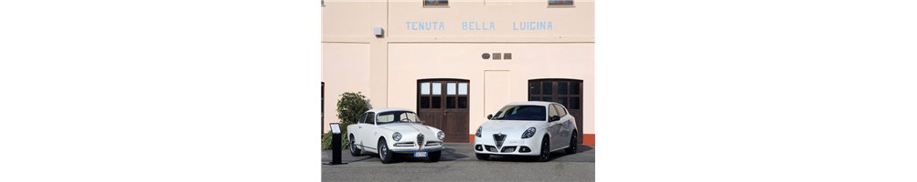 ALFA ROMEO GIULIETTA I (instructieboekjes, reparatiehandboeken, onderdeelboeken)