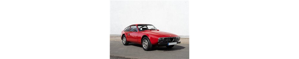 ALFA ROMEO JUNIOR ZAGATO (Betriebsanleitungen, Reparaturanleitungen, Ersatzteilkatalogen)