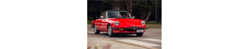 ALFA ROMEO(Betriebsanleitungen, Reparaturanleitungen, Ersatzteilkatalogen)