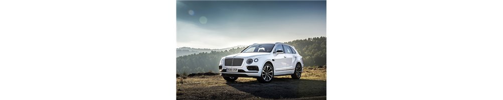 BENTLEY BENTAYGA (instructieboekjes, reparatiehandboeken, onderdeelboeken)