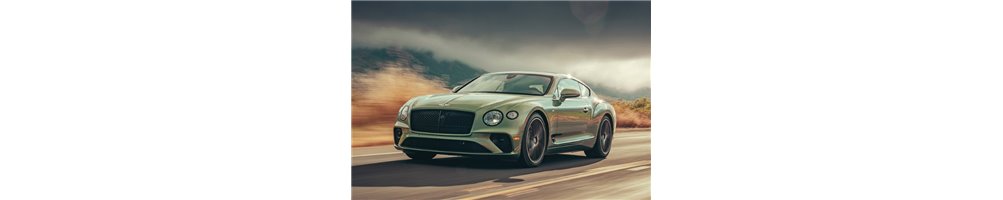 BENTLEY CONTINENTAL GT (owner manuals, repair manuals, spare parts manuals)
