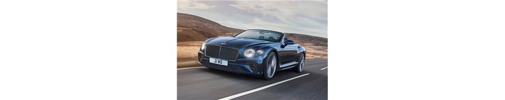 BENTLEY CONTINENTAL GTC (instructieboekjes, reparatiehandboeken, onderdeelboeken)