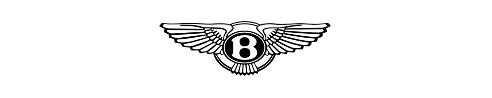 BENTLEY OVERIG (instructieboekjes, reparatiehandboeken, onderdeelboeken)